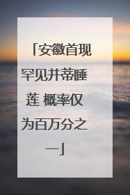 安徽首现罕见并蒂睡莲 概率仅为百万分之一