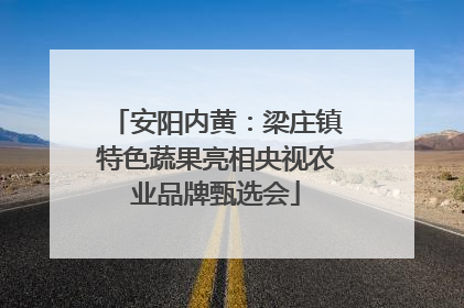 安阳内黄：梁庄镇特色蔬果亮相央视农业品牌甄选会