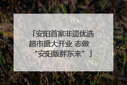 安阳首家非遗优选超市盛大开业 志做“安阳版胖东来”