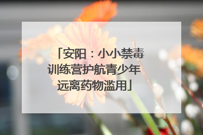安阳：小小禁毒训练营护航青少年远离药物滥用