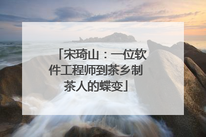宋琦山：一位软件工程师到茶乡制茶人的蝶变