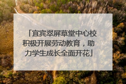 宜宾翠屏草堂中心校积极开展劳动教育，助力学生成长全面开花