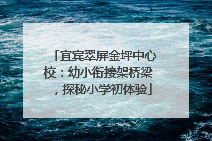 宜宾翠屏金坪中心校：幼小衔接架桥梁，探秘小学初体验
