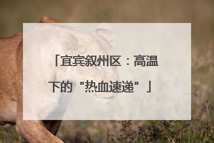 宜宾叙州区：高温下的“热血速递”