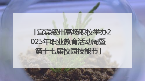 宜宾叙州高场职校举办2025年职业教育活动周暨第十七届校园技能节