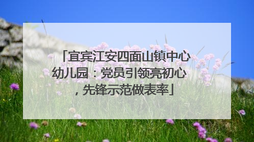 宜宾江安四面山镇中心幼儿园：党员引领亮初心，先锋示范做表率