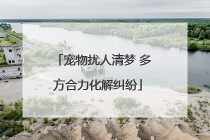 宠物扰人清梦 多方合力化解纠纷