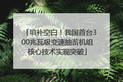 填补空白！我国首台300兆瓦级变速抽蓄机组核心技术实现突破
