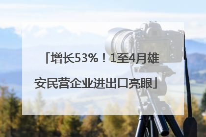 增长53%！1至4月雄安民营企业进出口亮眼
