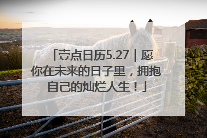 壹点日历5.27｜愿你在未来的日子里，拥抱自己的灿烂人生！