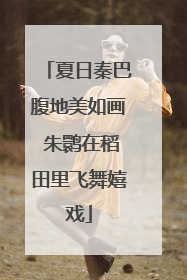 夏日秦巴腹地美如画 朱鹮在稻田里飞舞嬉戏