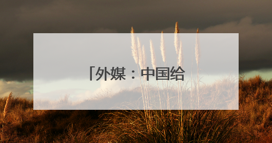 外媒：中国给对美贸易谈判“打了个样”