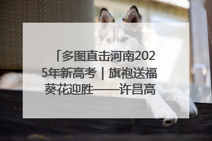 多图直击河南2025年新高考｜旗袍送福 葵花迎胜——许昌高考首日拉开帷幕