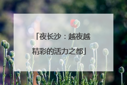 夜长沙：越夜越精彩的活力之都