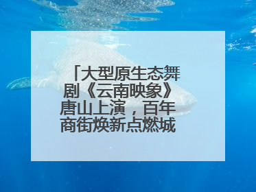 大型原生态舞剧《云南映象》唐山上演，百年商街焕新点燃城市艺术激情
