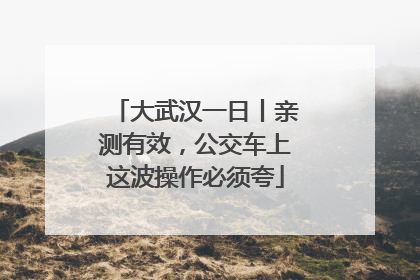 大武汉一日丨亲测有效，公交车上这波操作必须夸