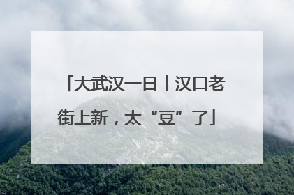 大武汉一日︱汉口老街上新，太“豆”了