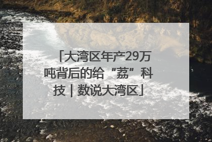 大湾区年产29万吨背后的给“荔”科技｜数说大湾区