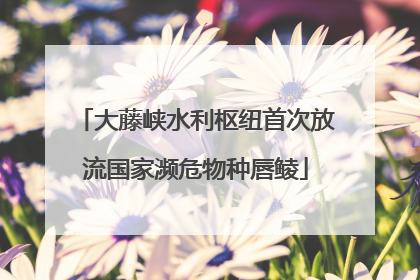 大藤峡水利枢纽首次放流国家濒危物种唇鲮