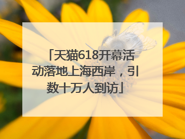 天猫618开幕活动落地上海西岸，引数十万人到访