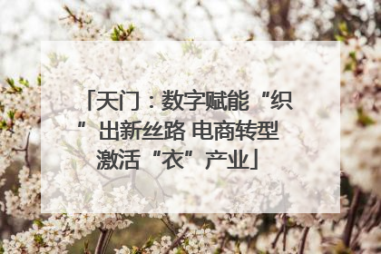 天门：数字赋能“织”出新丝路 电商转型激活“衣”产业