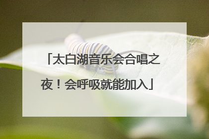 太白湖音乐会合唱之夜！会呼吸就能加入