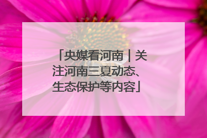 央媒看河南｜关注河南三夏动态、生态保护等内容