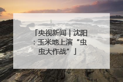 央视新闻｜沈阳：玉米地上演“虫虫大作战”