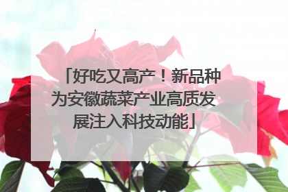 好吃又高产！新品种为安徽蔬菜产业高质发展注入科技动能
