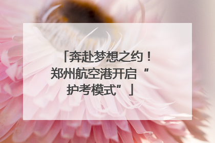奔赴梦想之约！郑州航空港开启“护考模式”