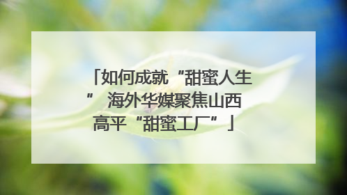 如何成就“甜蜜人生” 海外华媒聚焦山西高平“甜蜜工厂”