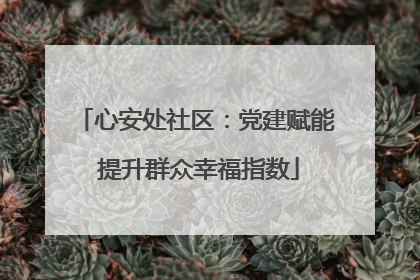 心安处社区：党建赋能 提升群众幸福指数