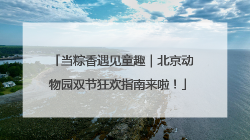 当粽香遇见童趣｜北京动物园双节狂欢指南来啦！