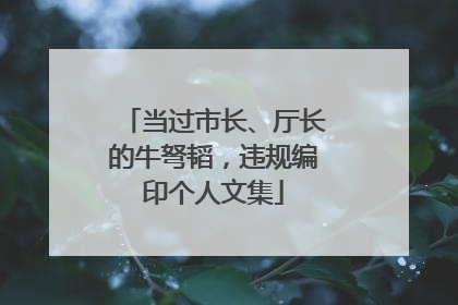 当过市长、厅长的牛弩韬，违规编印个人文集