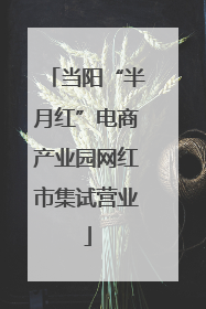 当阳“半月红”电商产业园网红市集试营业