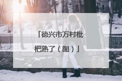 德兴市万村枇杷熟了（图）