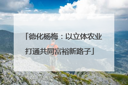德化杨梅：以立体农业打通共同富裕新路子