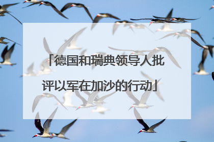 德国和瑞典领导人批评以军在加沙的行动