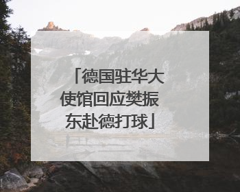 德国驻华大使馆回应樊振东赴德打球