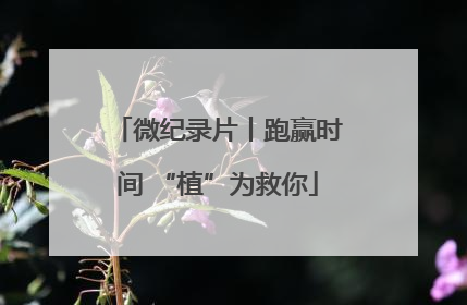 微纪录片丨跑赢时间 “植”为救你