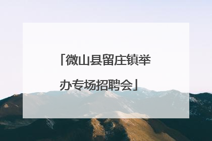微山县留庄镇举办专场招聘会