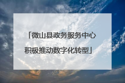 微山县政务服务中心积极推动数字化转型