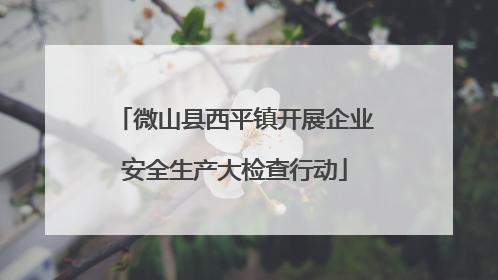 微山县西平镇开展企业安全生产大检查行动
