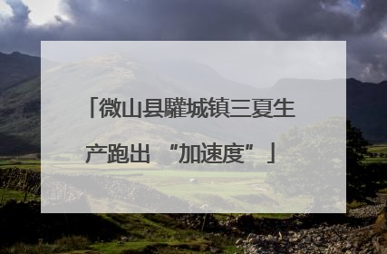 微山县驩城镇三夏生产跑出 “加速度”