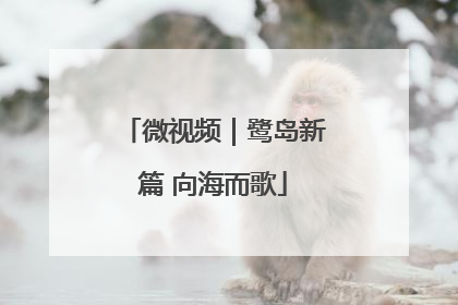 微视频｜鹭岛新篇 向海而歌