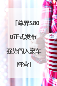 尊界S800正式发布 强势闯入豪车阵营