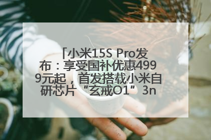 小米15S Pro发布：享受国补优惠4999元起，首发搭载小米自研芯片“玄戒O1”3nm旗舰处理器