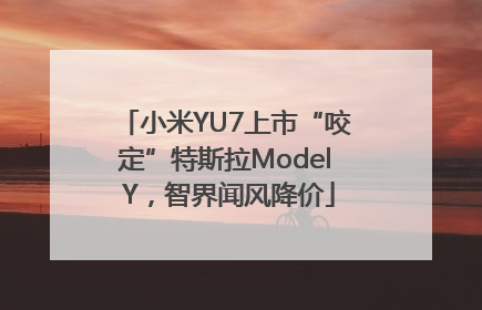 小米YU7上市“咬定”特斯拉Model Y，智界闻风降价