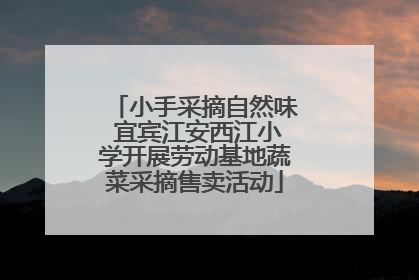 小手采摘自然味 宜宾江安西江小学开展劳动基地蔬菜采摘售卖活动