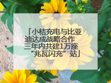 小桔充电与比亚迪达成战略合作 三年内共建1万座“兆瓦闪充”站